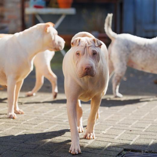 2024-03-03-12-58-36-EOS R6-2106_2048px