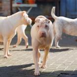 2024-03-03-12-58-36-EOS R6-2106_2048px