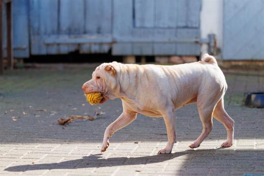 2024-03-03-12-59-41-EOS R6-2148_2048px