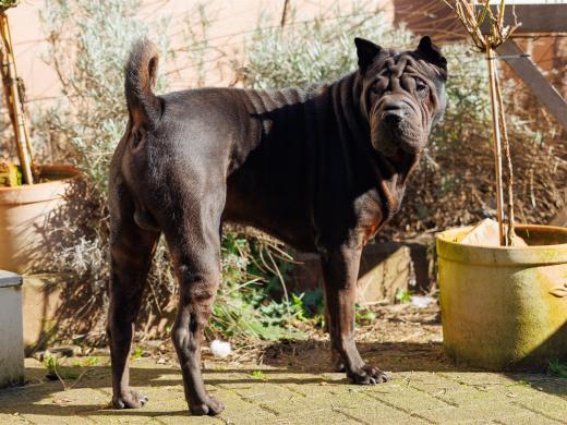 2024-03-03-13-12-22-EOS R6m2-3437_2048px