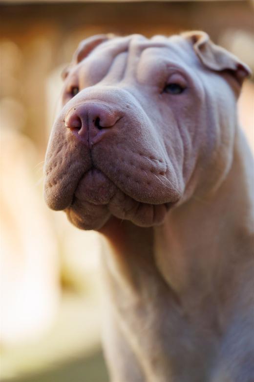 2024-03-03-13-13-29-EOS R6m2-3462_2048px