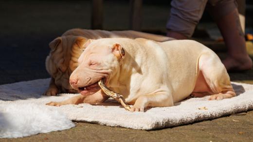 2024-03-03-13-58-05-EOS R6m2-3496_2048px