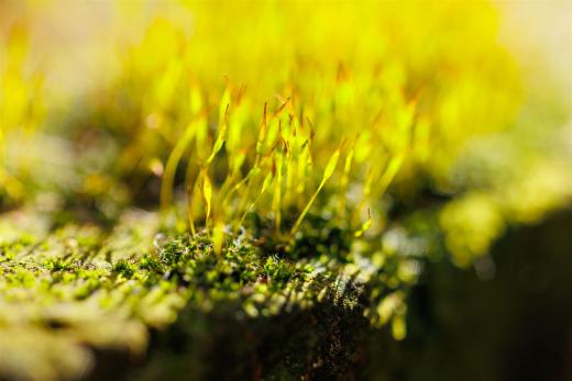 2024-03-03-14-05-36-EOS R6-2177_2048px