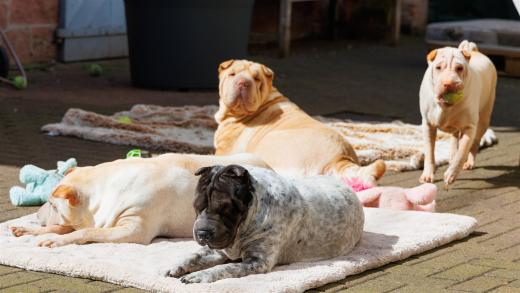 2024-03-31-13-33-10-EOS R7-5630