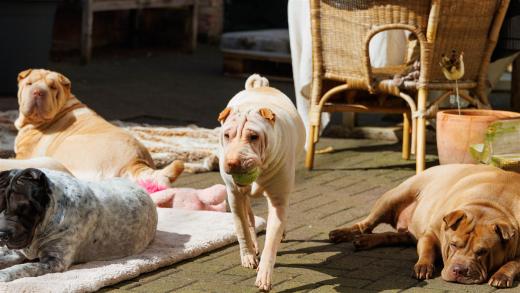 2024-03-31-13-33-11-EOS R7-5631