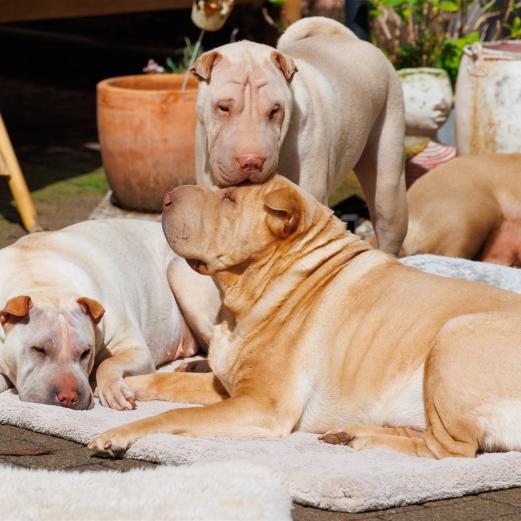 2024-03-31-13-39-26-EOS R7-5669