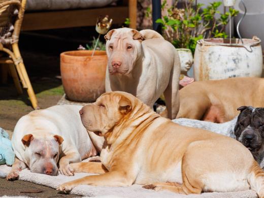 2024-03-31-13-39-28-EOS R7-5673