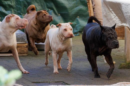 2024-03-31-13-41-22-EOS R7-5702