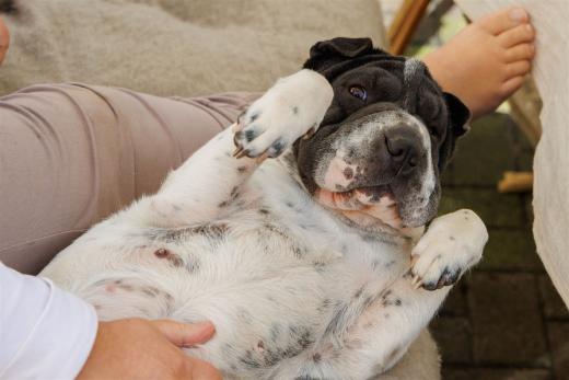 2024-03-31-13-50-55-EOS R7-5742