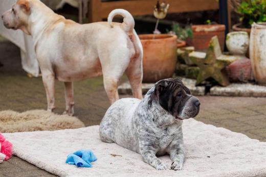 2024-03-31-15-21-19-EOS R6m2-3568