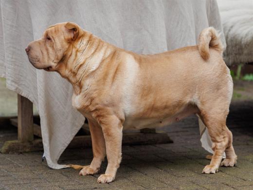 2024-03-31-15-21-31-EOS R6m2-3584