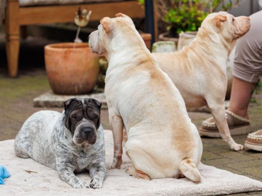 2024-03-31-15-22-46-EOS R6m2-3585