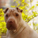 2024-04-06-13-53-30-EOS R7-5756