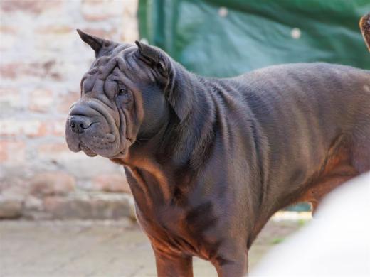 2024-04-06-17-08-48-EOS R7-5819-Verbessert-RR