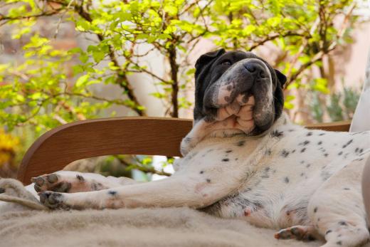 2024-04-07-13-50-46-EOS R7-5872