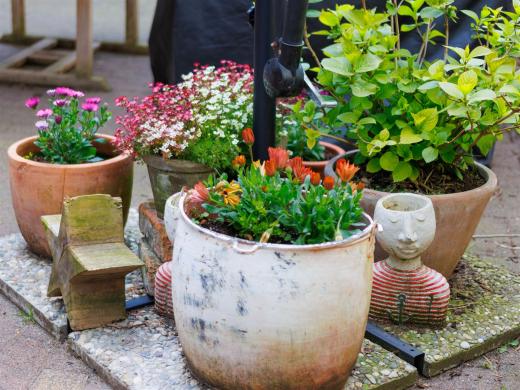 2024-04-24-16-04-02-EOS R7-5886