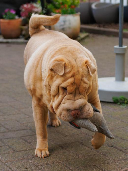 2024-04-24-16-04-55-EOS R7-5889