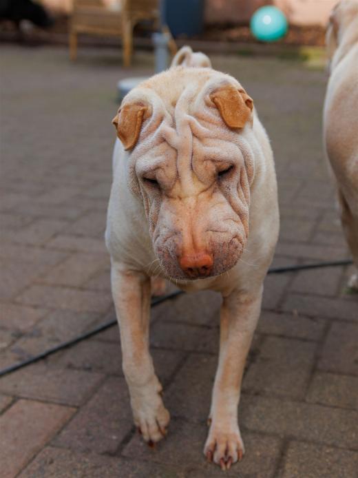 2024-04-24-16-07-46-EOS R7-5893