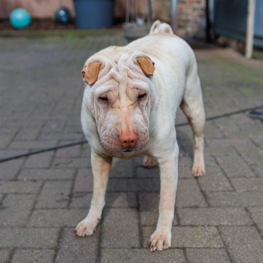 2024-04-24-16-08-05-EOS R7-5899