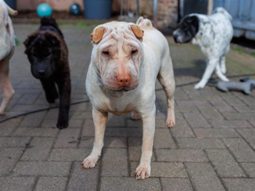 2024-04-24-16-08-07-EOS R7-5905