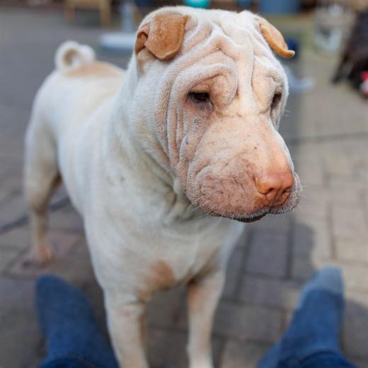 2024-04-24-16-08-47-EOS R7-5909