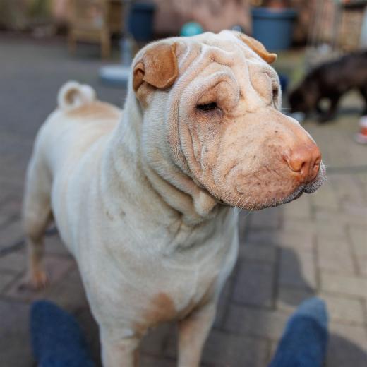 2024-04-24-16-08-48-EOS R7-5916