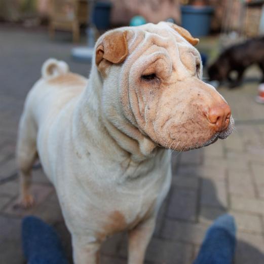 2024-04-24-16-08-48-EOS R7-5916