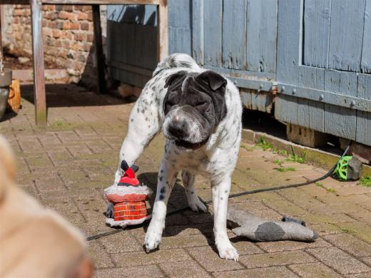 2024-04-24-16-09-17-EOS R7-5924