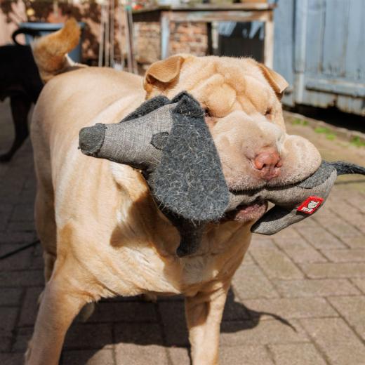 2024-04-24-16-10-23-EOS R7-5932