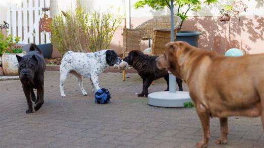 2024-04-24-16-11-50-EOS R7-5955