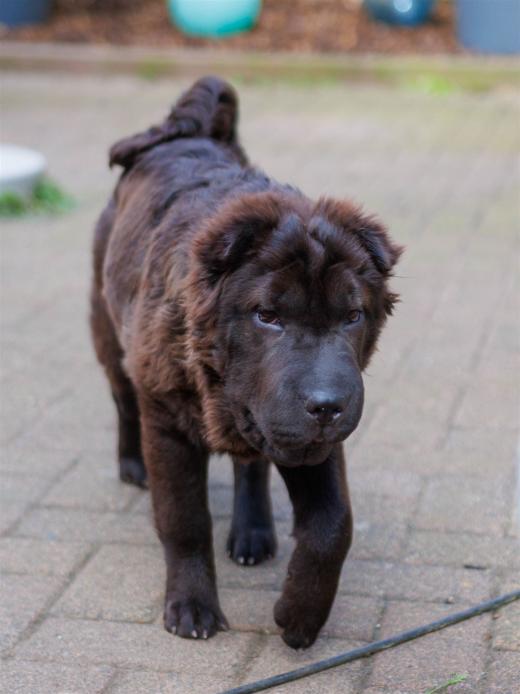 2024-04-24-16-12-53-EOS R7-5972