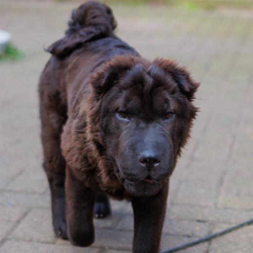 2024-04-24-16-12-53-EOS R7-5974