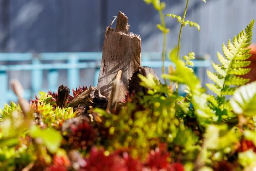 2024-04-24-16-20-06-EOS R7-6061