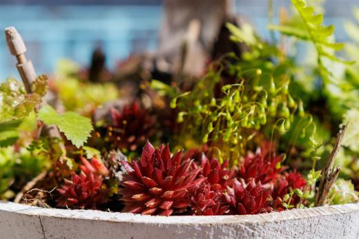 2024-04-24-16-20-09-EOS R7-6063