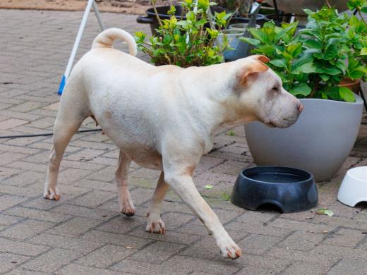 2024-04-25-18-33-12-EOS R7-6140-Verbessert-RR_2048px