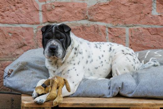 2024-04-25-18-47-04-EOS R7-6257_2048px