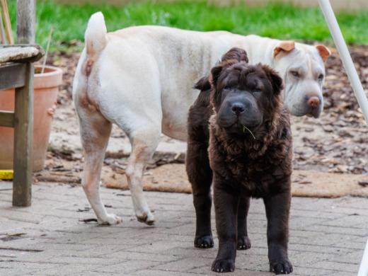 2024-04-25-18-47-45-EOS R7-6287-Verbessert-RR_2048px