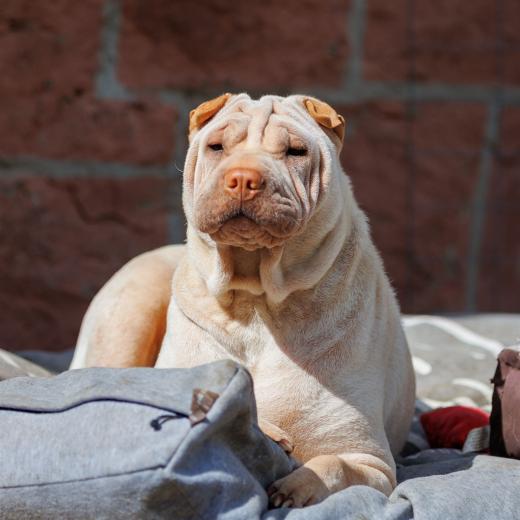 2024-04-27-11-28-49-EOS R6-2205_2048px