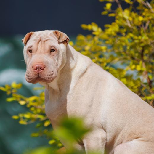 2024-04-27-11-35-27-EOS R6-2234_2048px