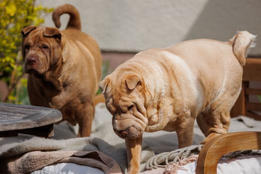 2024-04-27-11-42-18-EOS R6-2260_2048px