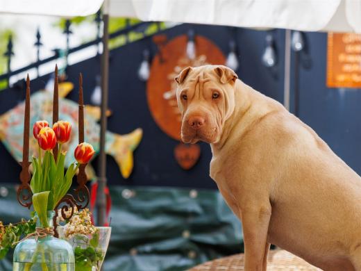 2024-04-27-13-10-42-EOS R6m2-3807