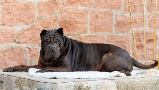 2024-04-27-13-16-59-EOS R6m2-3821