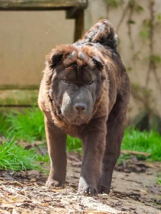 2024-04-27-13-39-03-EOS R7-6315_1