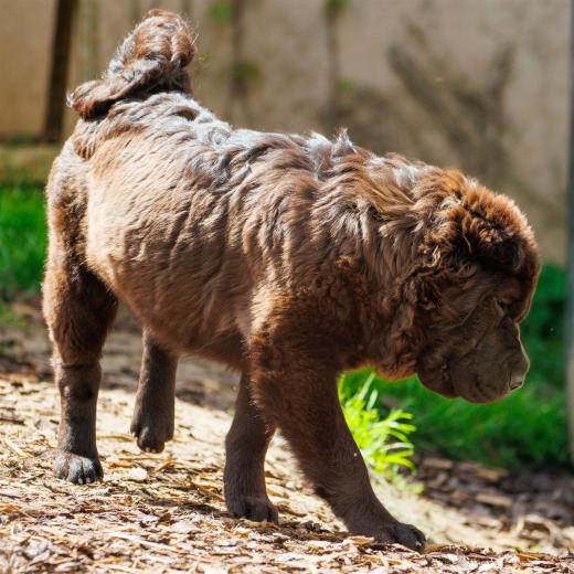 2024-04-27-13-39-05-EOS R7-6320