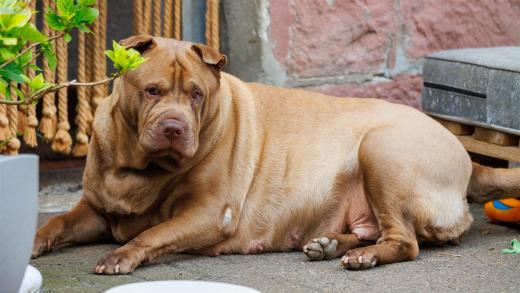 2024-04-27-13-52-37-EOS R7-6322