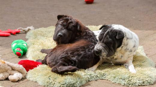 2024-04-27-14-29-03-EOS R7-6355_1