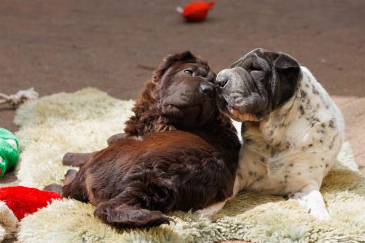 2024-04-27-14-29-12-EOS R7-6368