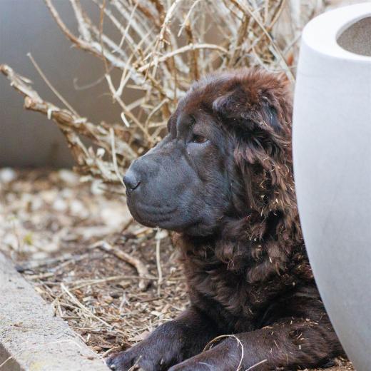 2024-04-27-15-11-59-EOS R7-6377