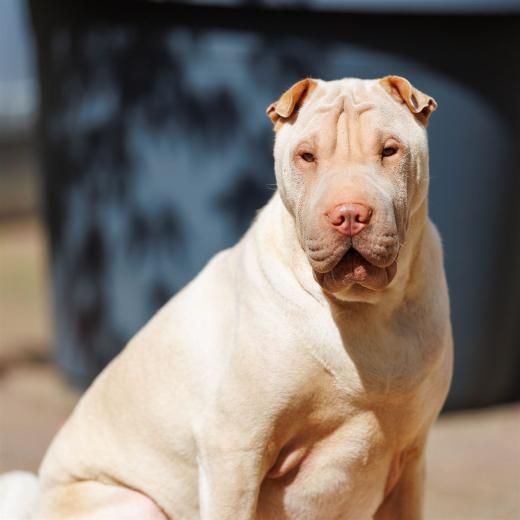 2024-04-30-11-04-43-EOS R6m2-3934