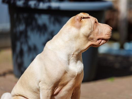 2024-04-30-11-04-44-EOS R6m2-3938